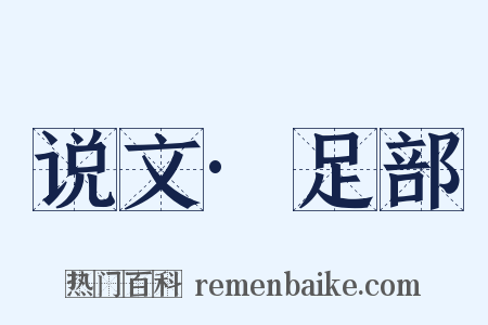 说文·足部是什么意思的图片